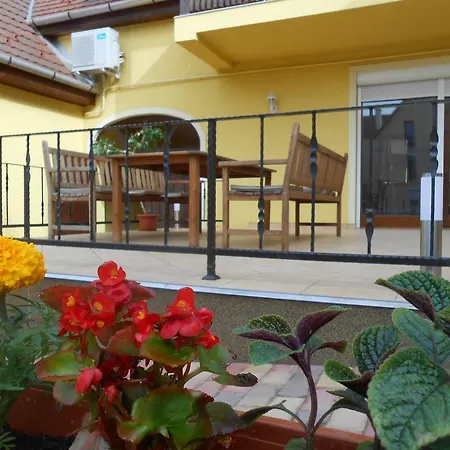 公寓 Diofa Vendeghaz