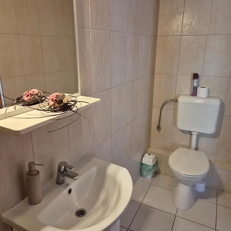 Diofa Vendeghaz